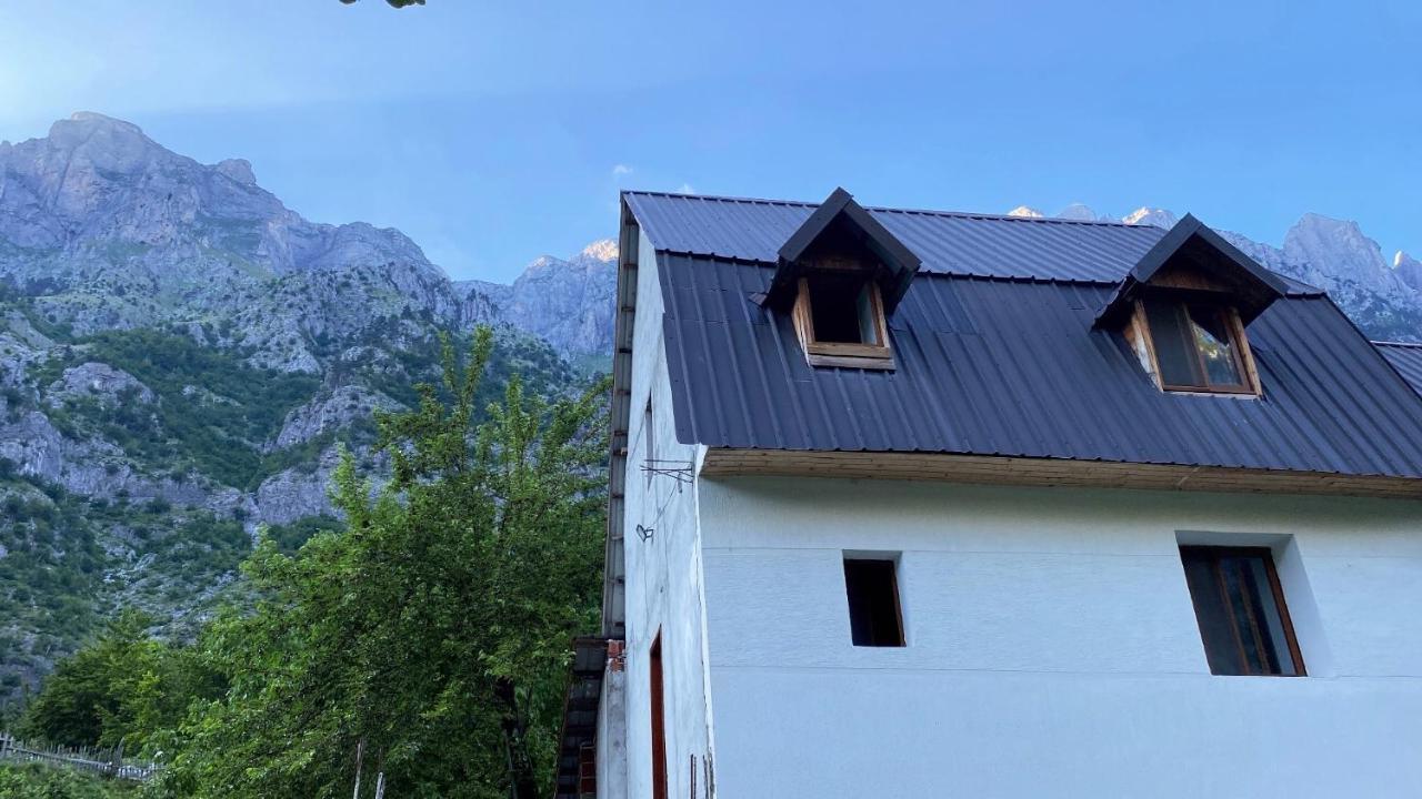 Rexhepi, Valbone Bajram Curri