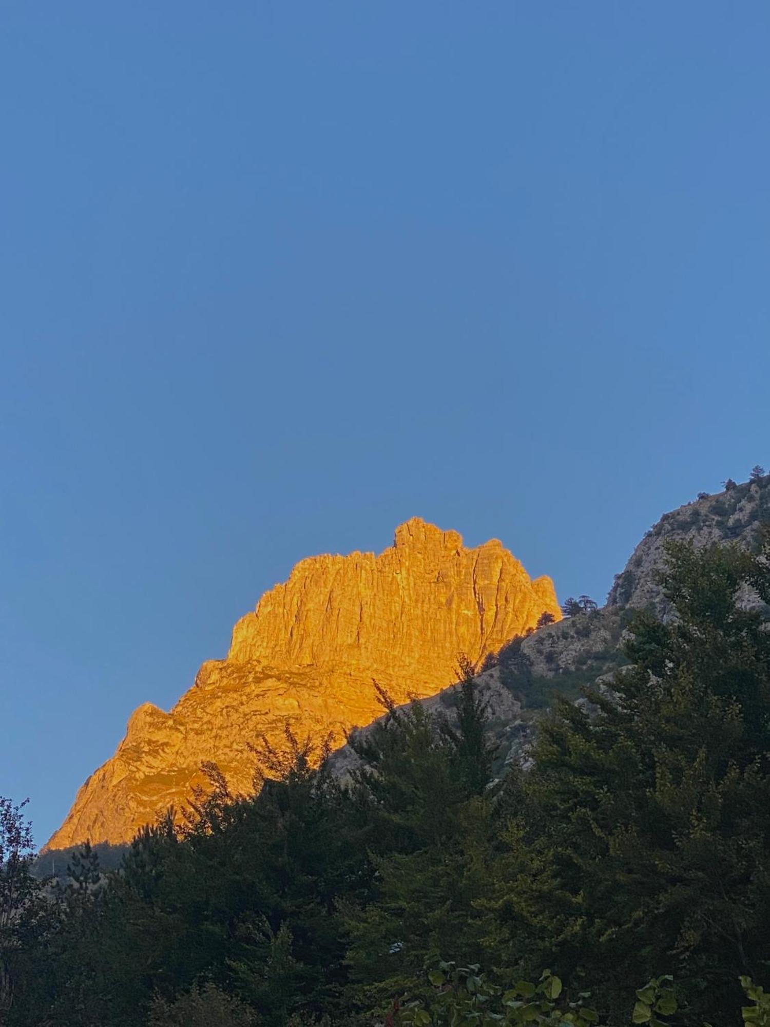 Rexhepi, Valbone